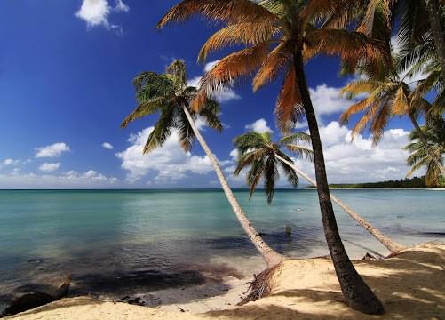 Landscape view of Fiji