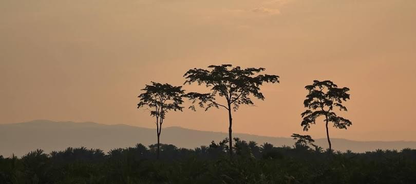 Landscape view of Burundi