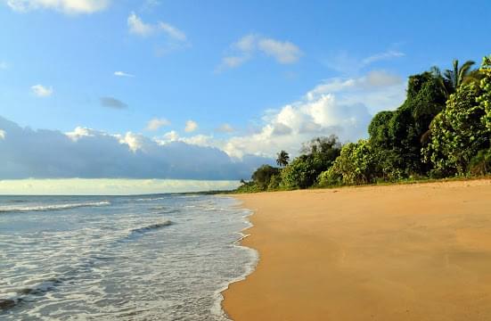 Landscape view of Seychelles