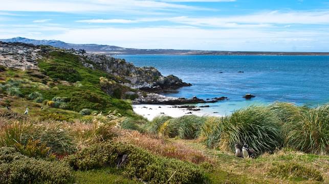 Landscape view of Falkland Islands