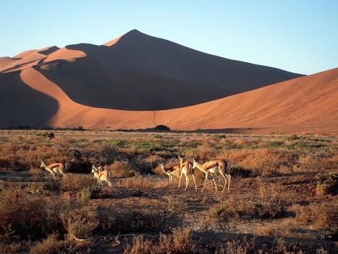 Landscape view of Namibia