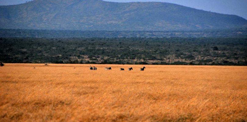 Landscape view of South Sudan