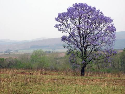 Landscape view of Chad