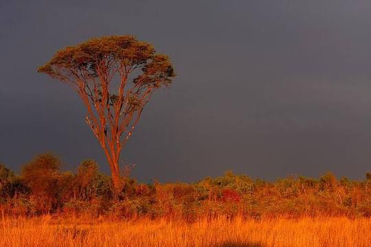 Landscape view of Botswana