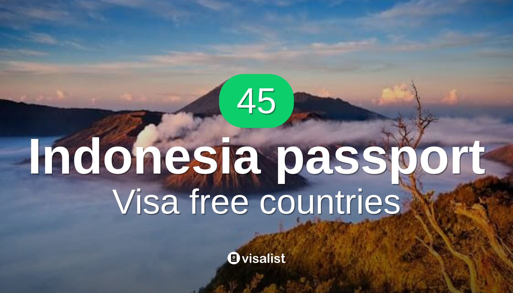 Indonesia passport visa free countries to travel in 2024 Visa List
