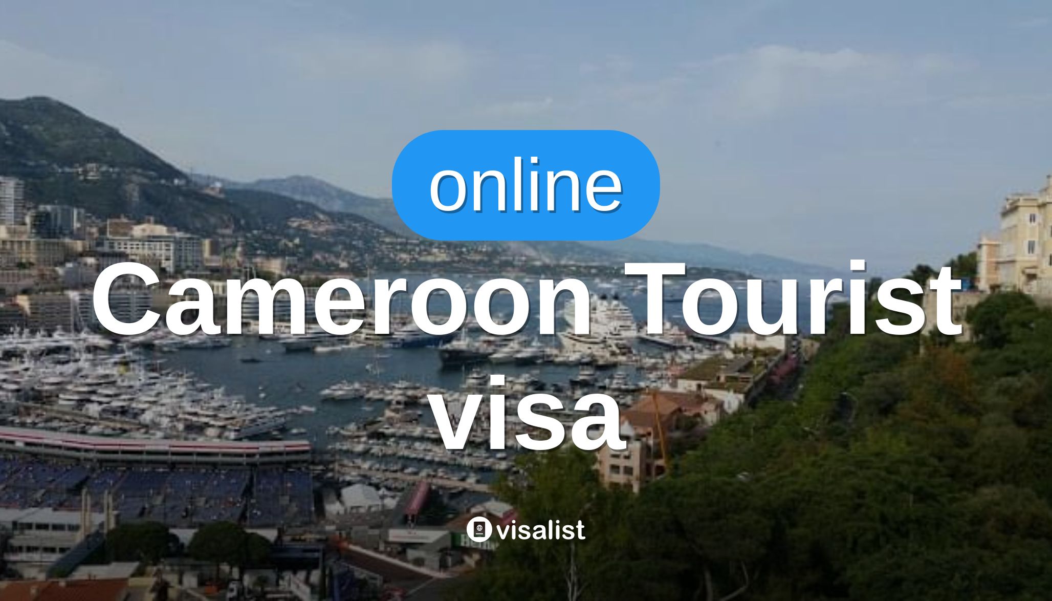 cameroon online visa        
        <figure class=