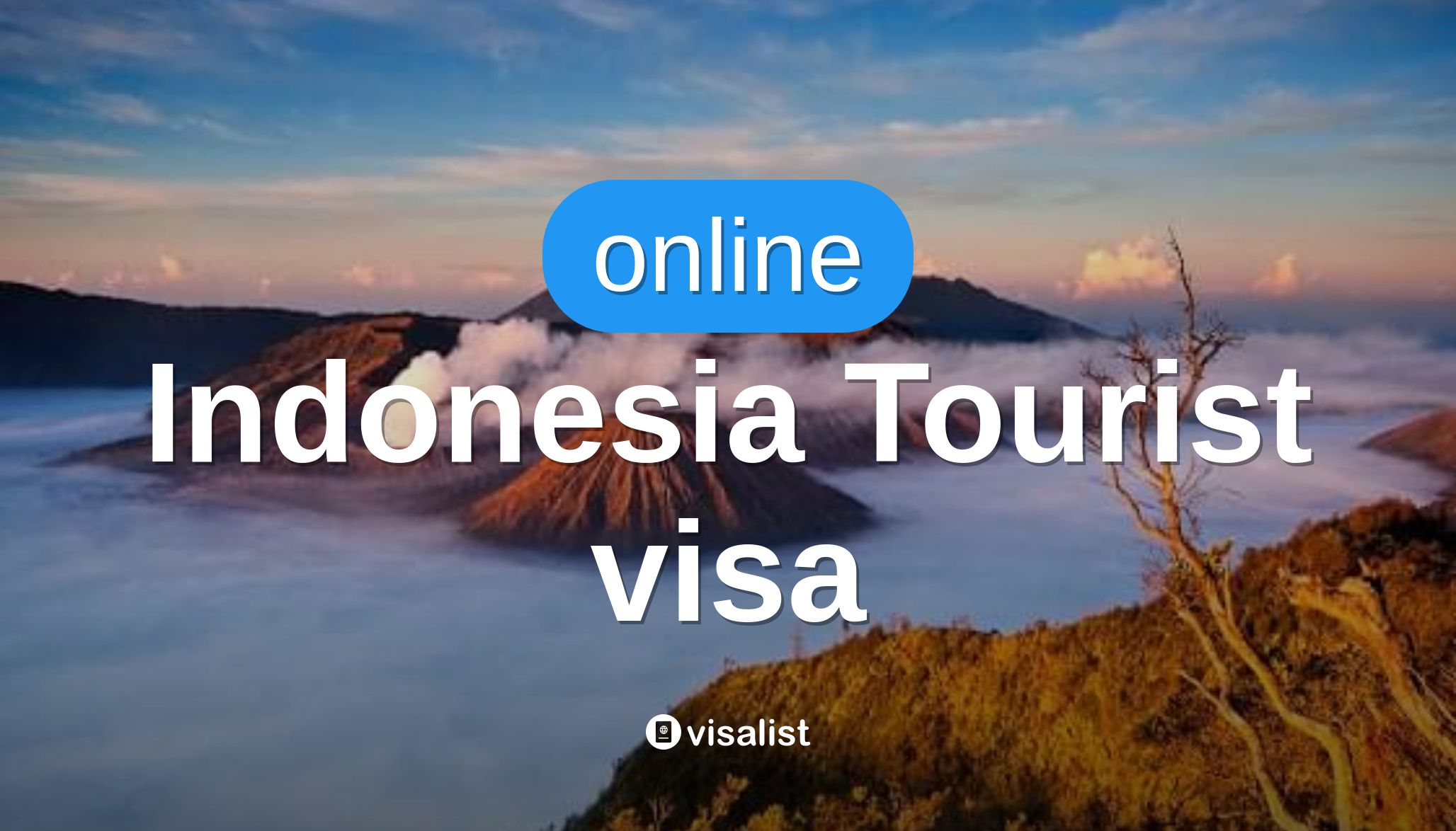 indonesia tourist visa for australian citizens