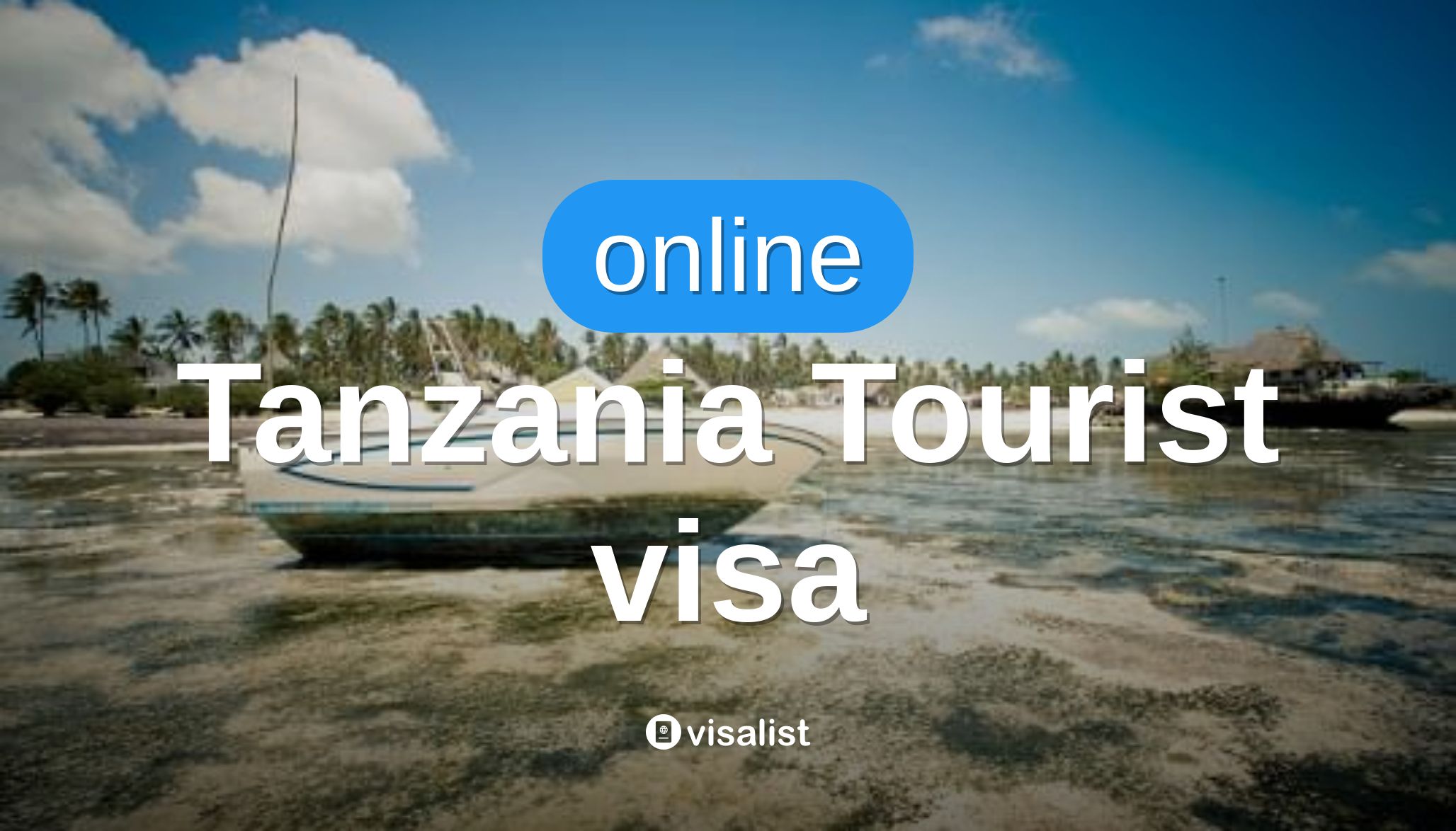 tanzania online visa        
        <figure class=