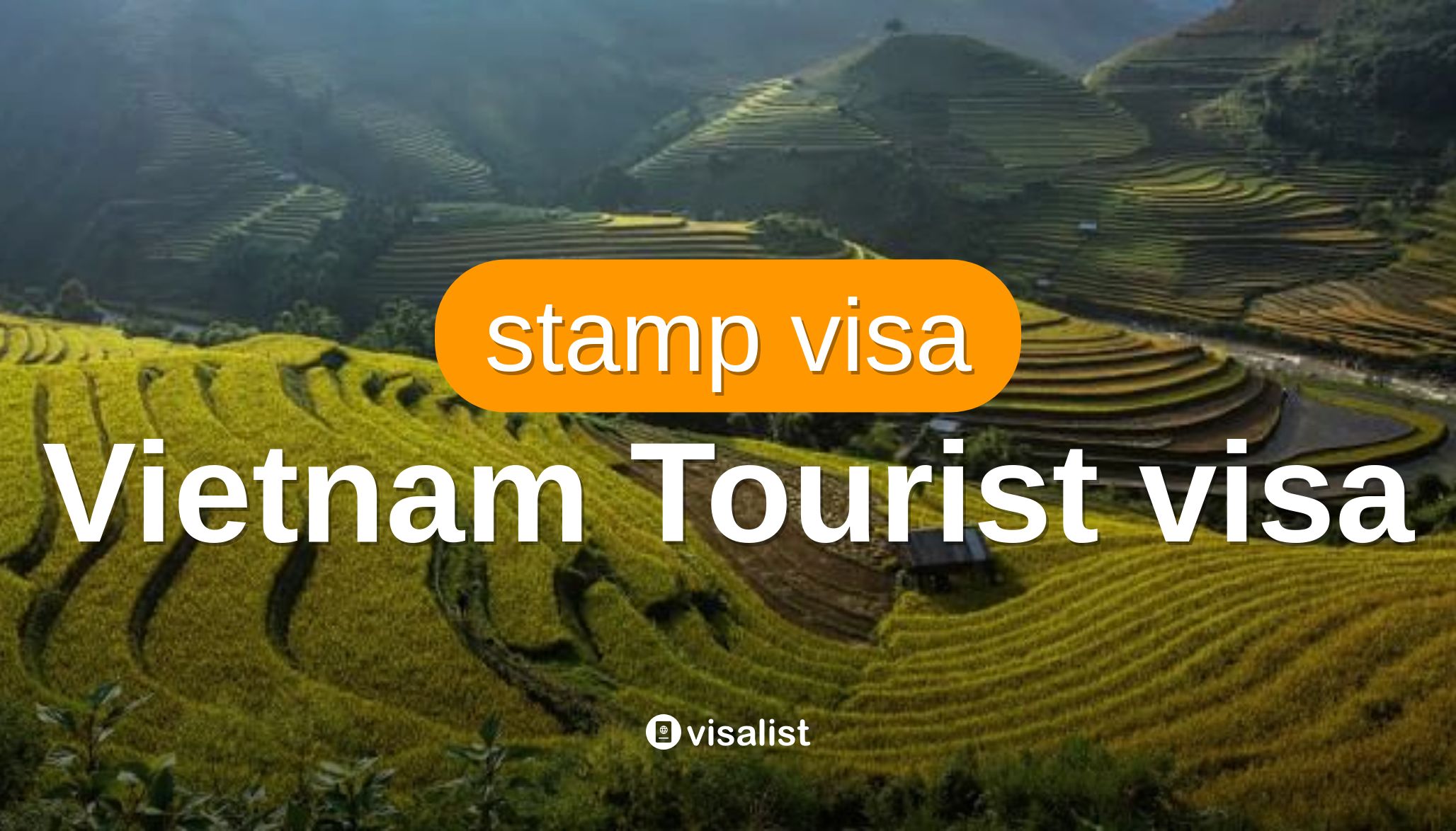 Vietnam visa for british indian ocean territory citizens 2025 visa list