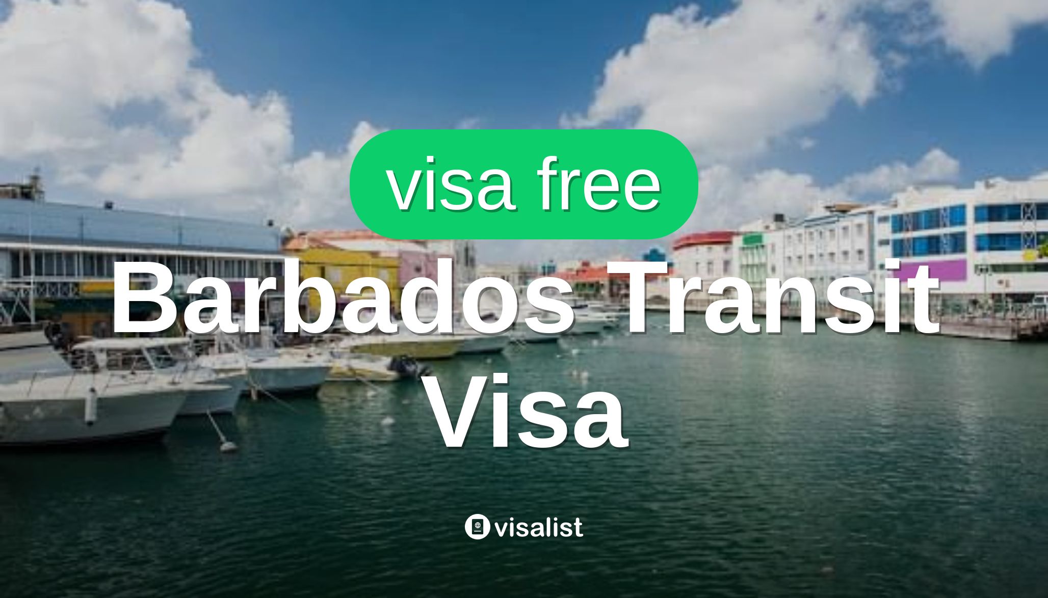 Visa brazil sample travel brazilian tourist apply enter case expires day steps guide easy where example may