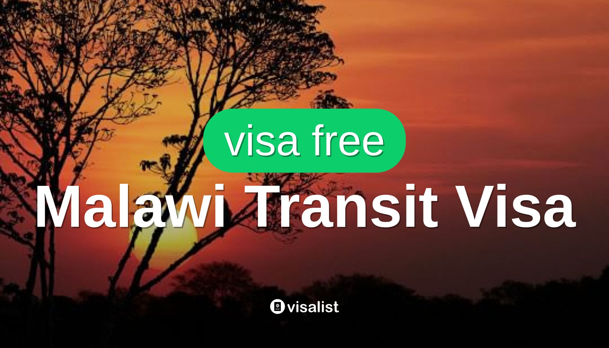 Малави Транзитная виза для Бруней-Даруссалам граждане 2024